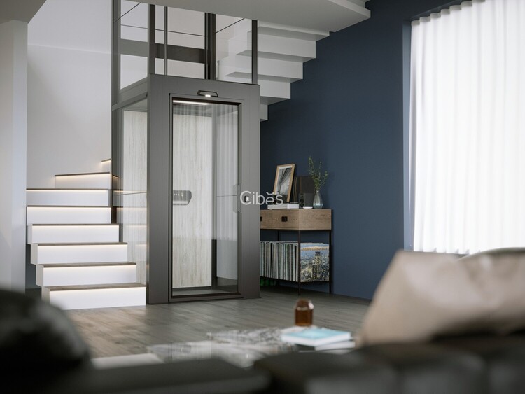 thang máy gia đình hiện đại